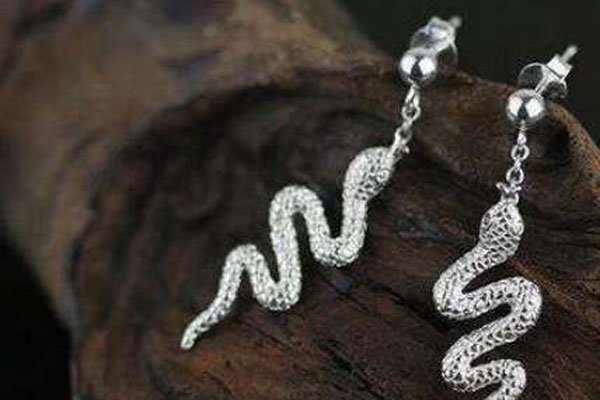香蛇是什么(me)蛇图片 这样用蛇制作的耳环你会戴吗