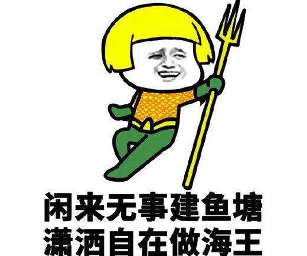 ������������ʲô�� ���������ĸ�������