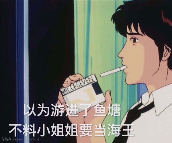 ������������ʲô�� ���������ĸ�������