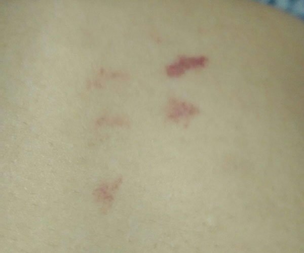 ������ο������� �����ܶ඼�������һ��