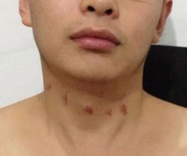 ������ο������� �����ܶ඼�������һ��