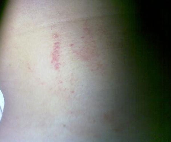 ������ο������� �����ܶ඼�������һ��