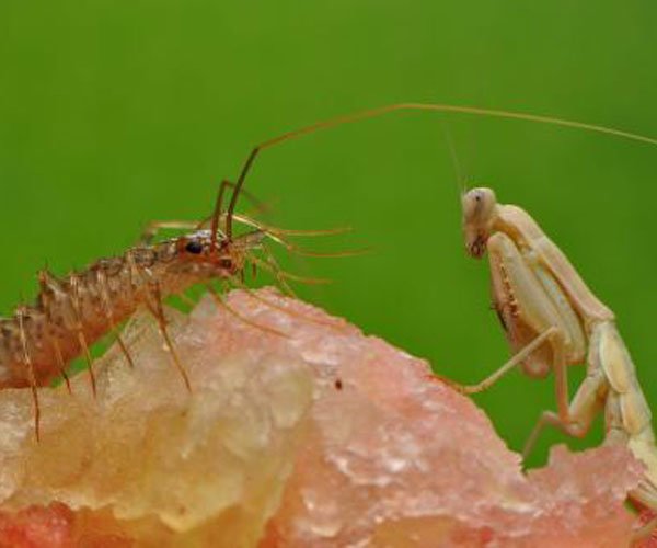 ��Ь���ӵĳ���ѧ����ʲô �����������̫�ֲ���