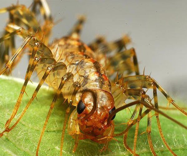 ��Ь���ӵĳ���ѧ����ʲô �����������̫�ֲ���