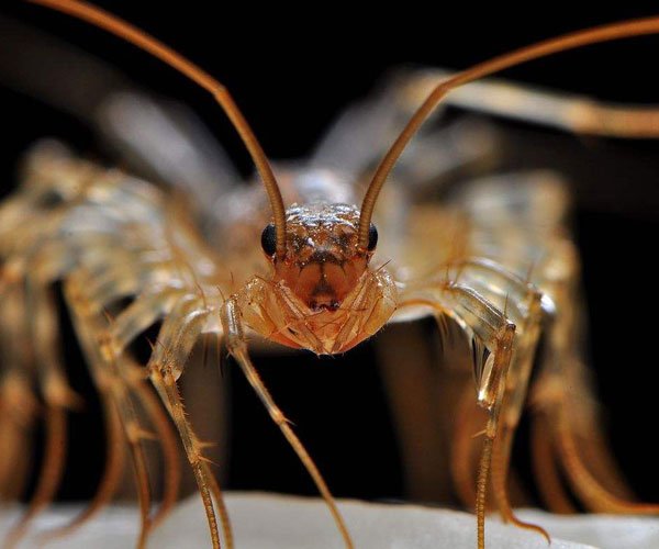 ��Ь���ӵĳ���ѧ����ʲô �����������̫�ֲ���