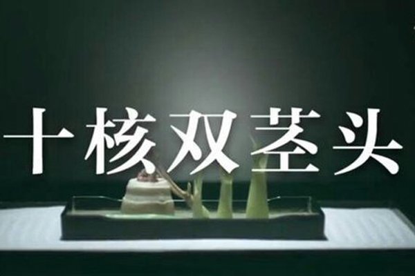十核双茎头是什么梗 手机广告博人眼球的文案
