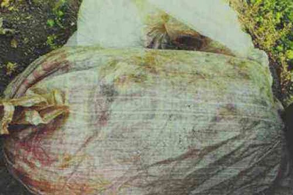 �Ͼ���ѧ��ʬ�� �����ڶ�û���ҵ�����