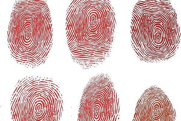 ������ɱ�˶����� 13��������8��ǿ��3���ɱ���˷�ָ