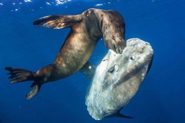 �����������̫������ һ�δν���ϣ����һ�δα��Ⱦ���