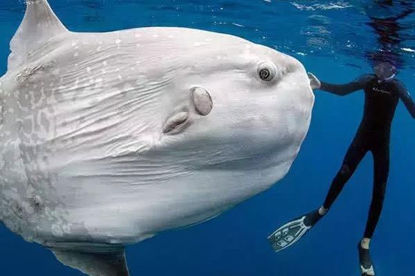 �����������̫������ һ�δν���ϣ����һ�δα��Ⱦ���