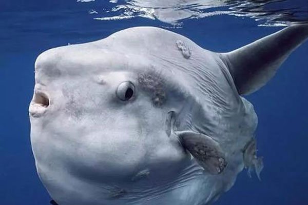 �����������̫������ һ�δν���ϣ����һ�δα��Ⱦ���