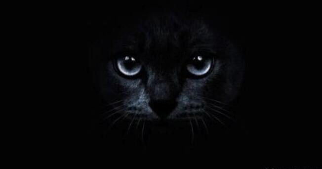 ��ؿ������������ô���� �������еĹ��Ǵ�����������