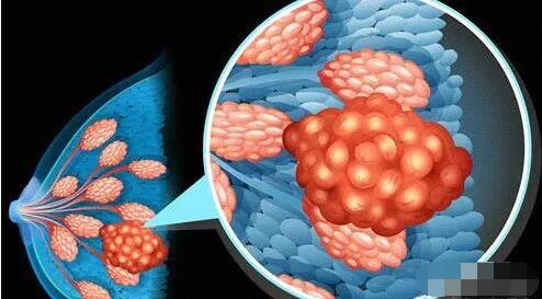 �鷿���Ů�Ը����׵����ٰ�����С�����ӿ���Ҫ�ֿ�����