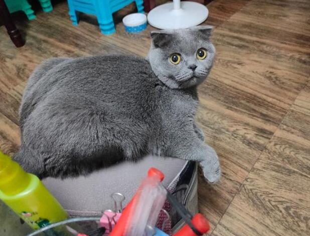 �ܶ��ش��Ů�����ܻᱧԹ���ش���ʲô�ã�