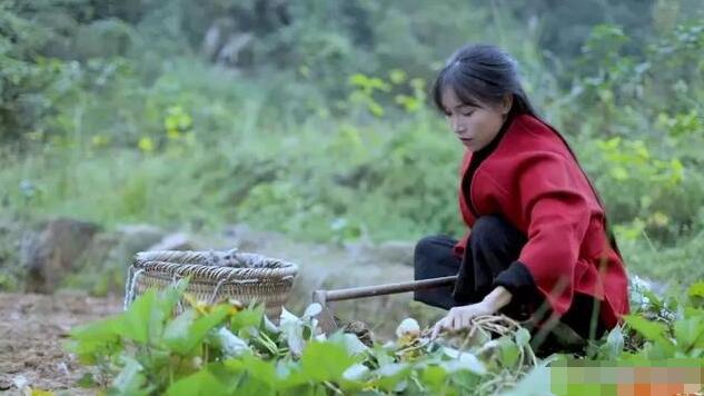 �������ǰ�װ�������� ��ʳ���һ��������ž����������˰�