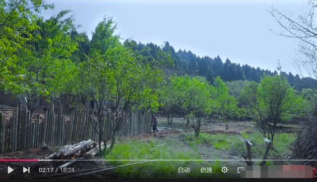 �������ǰ�װ�������� ��ʳ���һ��������ž����������˰�