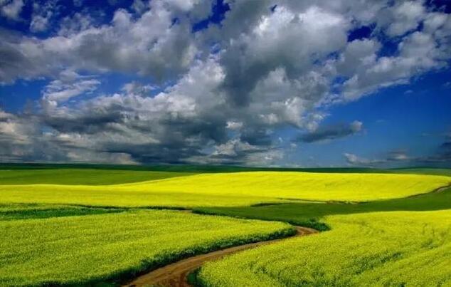 �й�ʮ��������γ��и�����ɫ ��ʮ�����в�ȥ�Ͳ��㿴����й�