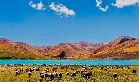 �й����γ����Ƽ� Ҫ������ѵİ��ã���Ȥ��������ȡ��