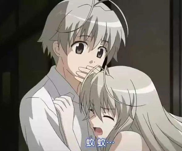 Ե֮����һ������4��Ƶ ���ƶ����������