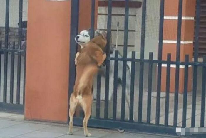 �˹��ӽ���̬�¼� ���ź͹��Ĺ��������