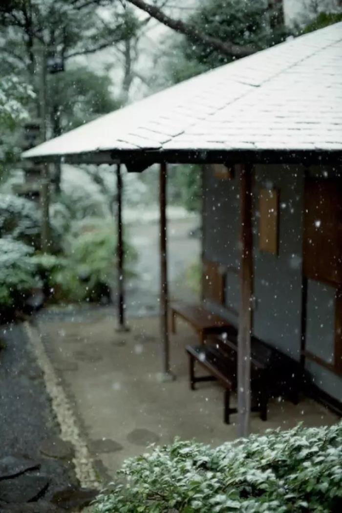 ���ڰ���Ķ�ƪ����15ƪ ���������������