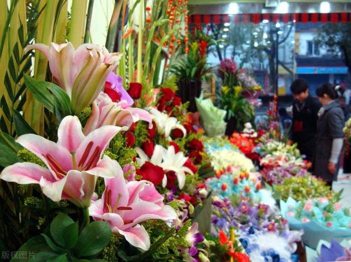 �ʺ�С�سǵĴ�ҵ��Ŀ 30����ͨ������С������