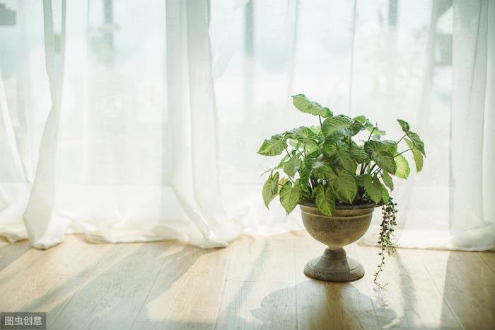 ����Ů�˵����Ķ��� ��ʵ������һ�˳�����