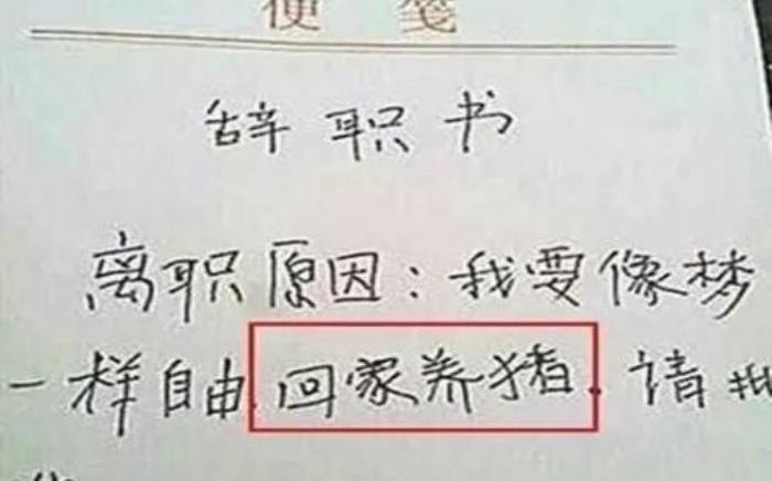 �쵼�����̬��ͻȻ�䵭 Ϊʲô��ְ���쵼������Į