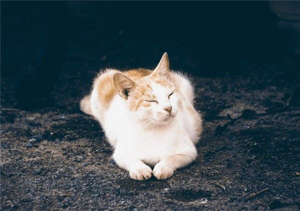 ����Ⱥ�˵��Ը����� ֻ�Ǳ���¶�����ǿ��