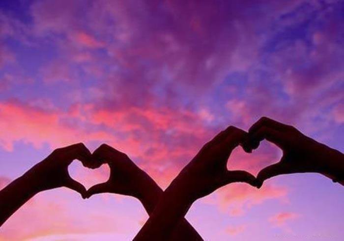 �����������������Щ һЩ��˫�ԵĶ�ֲ��