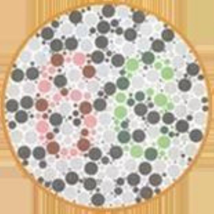 ɫä����ͼ���𰸴�ȫ ����һ���Լ��ܶԼ���