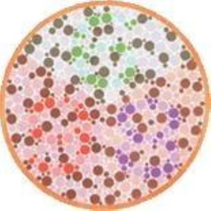 ɫä����ͼ���𰸴�ȫ ����һ���Լ��ܶԼ���