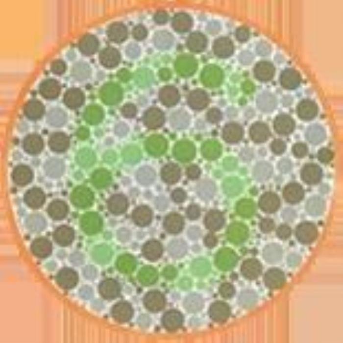 ɫä����ͼ���𰸴�ȫ ����һ���Լ��ܶԼ���