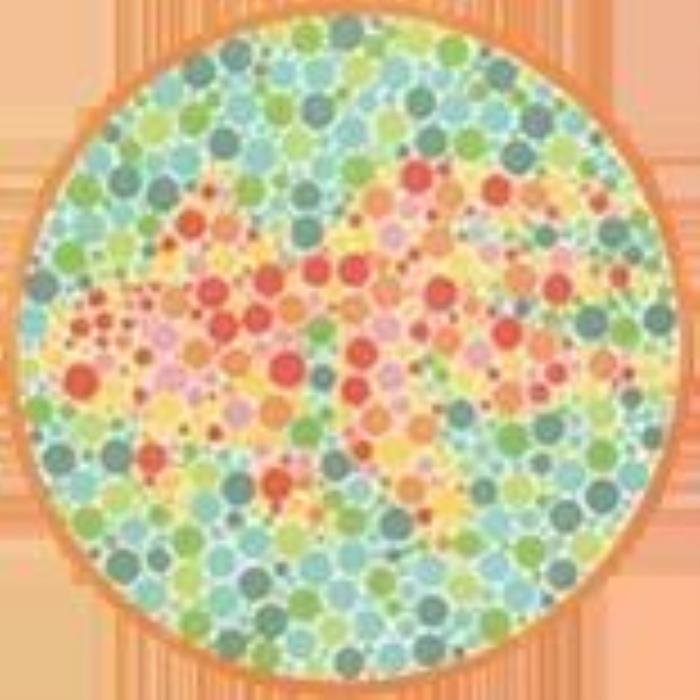 ɫä����ͼ���𰸴�ȫ ����һ���Լ��ܶԼ���