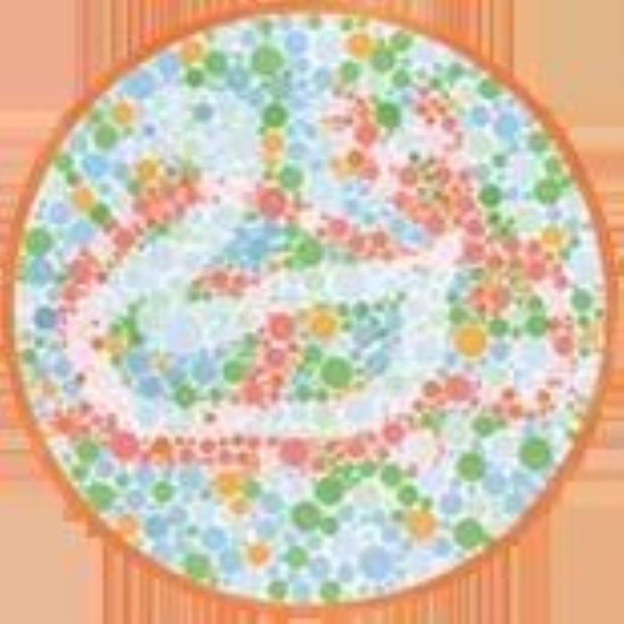 ɫä����ͼ���𰸴�ȫ ����һ���Լ��ܶԼ���