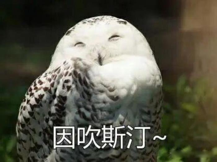 3�θ�Ц�ѿ����İ� �����������յıر�