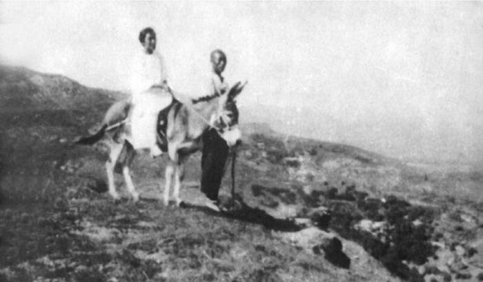 �����ɵĹ��¸�������ʲô ��������Щ����