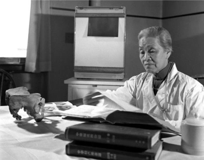 �����ɵĹ��¸�������ʲô ��������Щ����