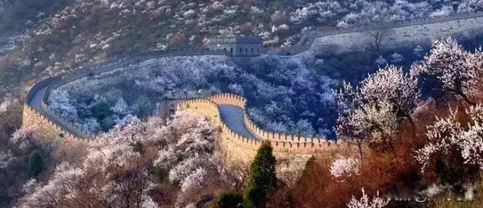 �쵼���������ֶ�����Щ �����ϰ���̽�˵ķ���