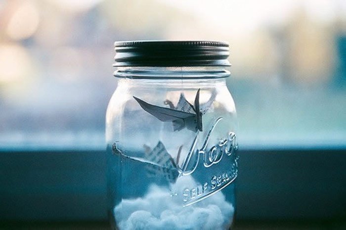 ���Ѳ����㵱���¶��ı��� ʲô�������Ѳ�ֵ�ý�