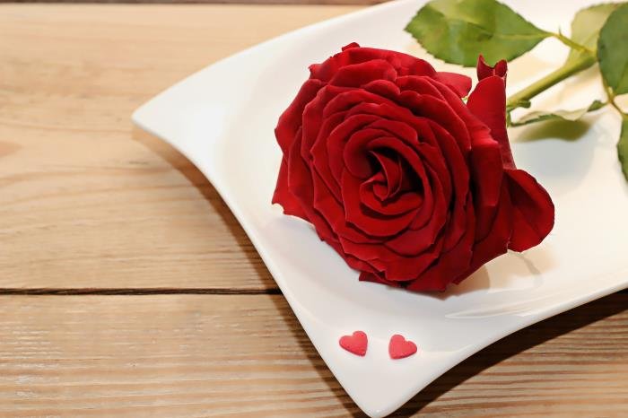 ����������ӦԽǿ��Խ���� ����������ô֪��������Ӧ��