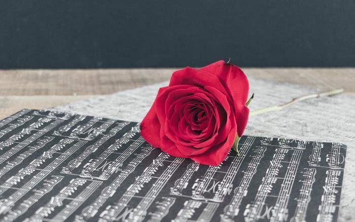 ����������ӦԽǿ��Խ���� ����������ô֪��������Ӧ��