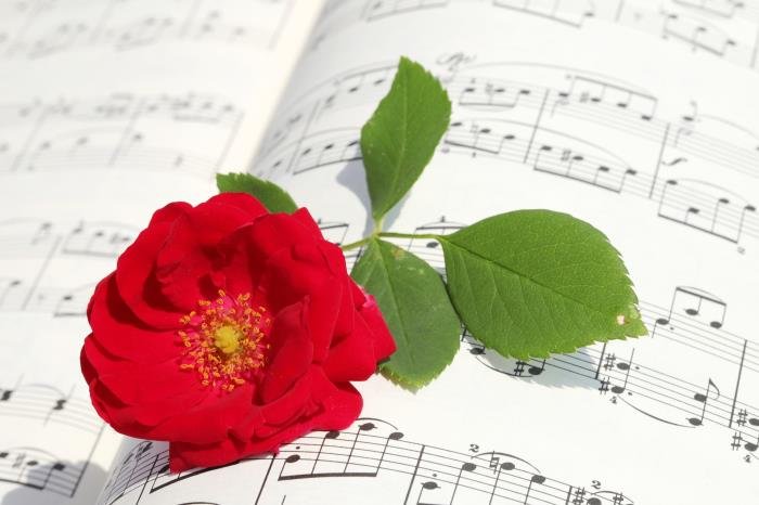 ����������ӦԽǿ��Խ���� ����������ô֪��������Ӧ��