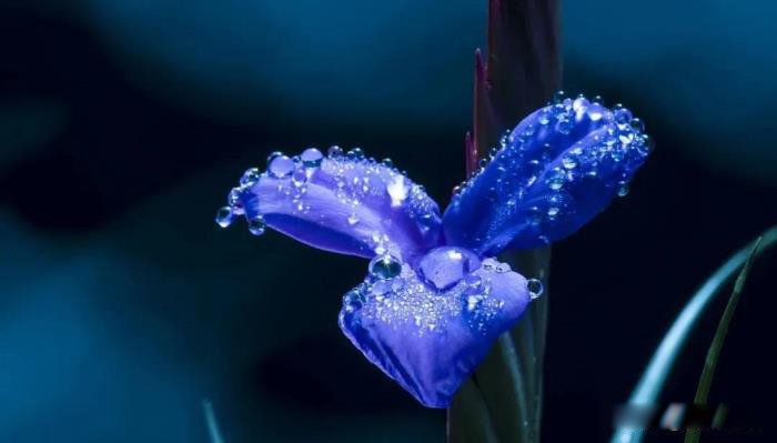 意难平是什么意思网络用语 不是坏事每个人都有