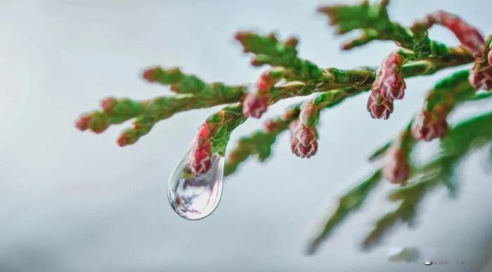 意难平是什么意思网络用语 不是坏事每个人都有
