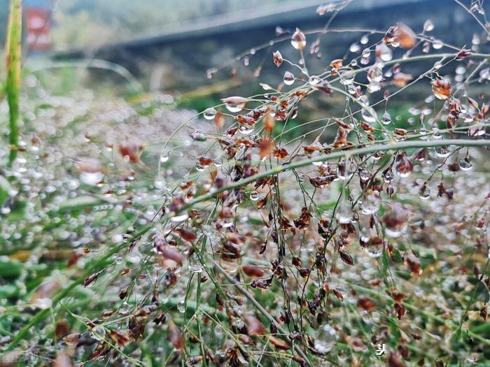 ϲ�����������ʲô������ ���������Ը���ʷ���