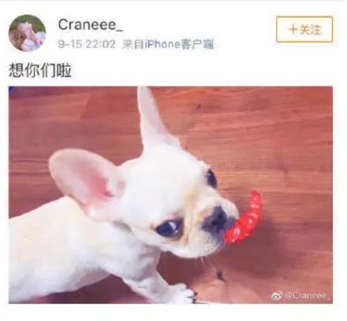 ����͢Ů������˭ ��ʲô���������Ů��������