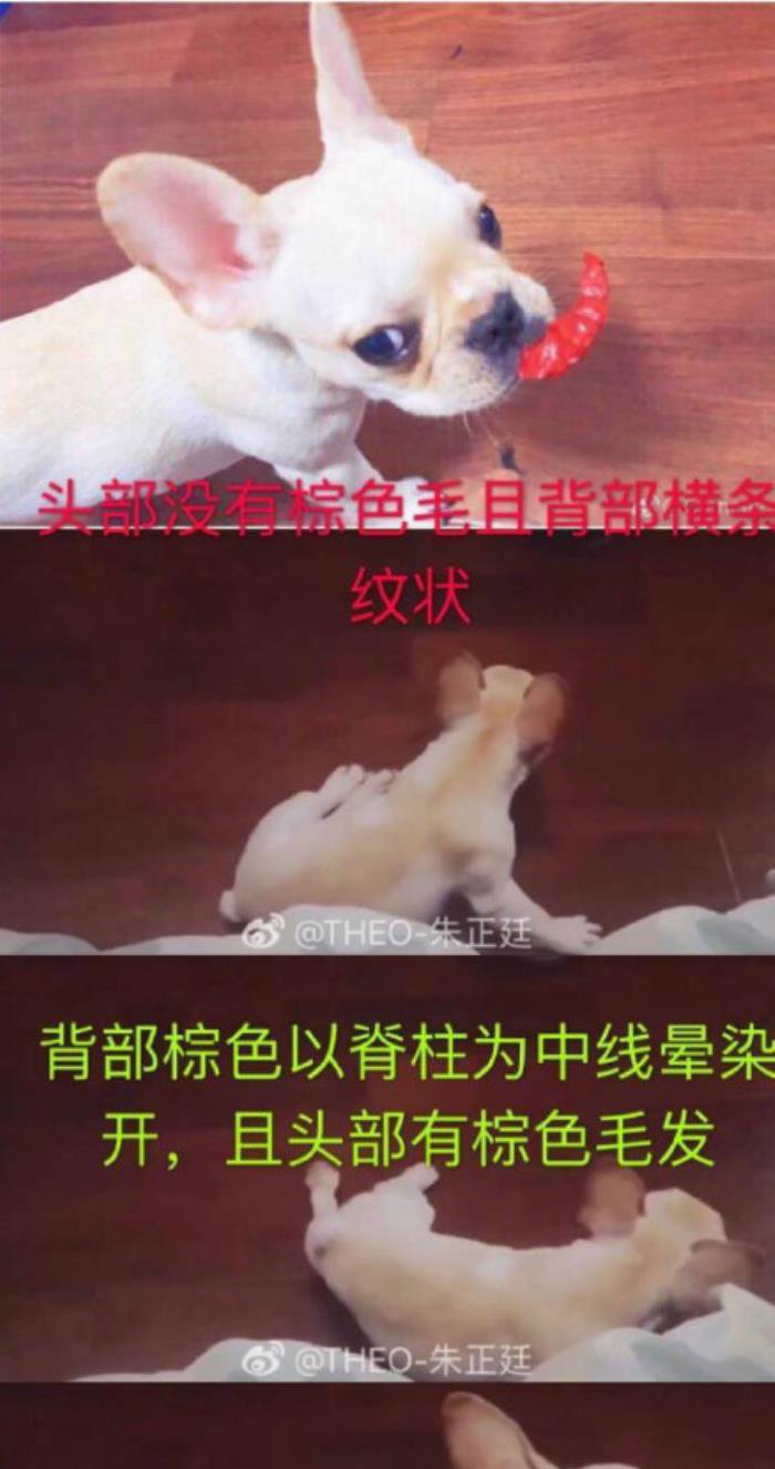 ����͢Ů������˭ ��ʲô���������Ů��������