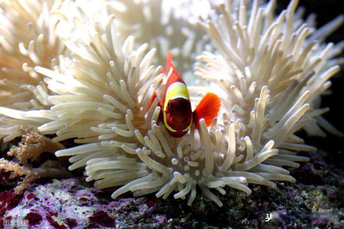 �͸�ĸסһ��̫ѹ��̫���� �ֿ�ס�û��Ǻ͸�ĸס��