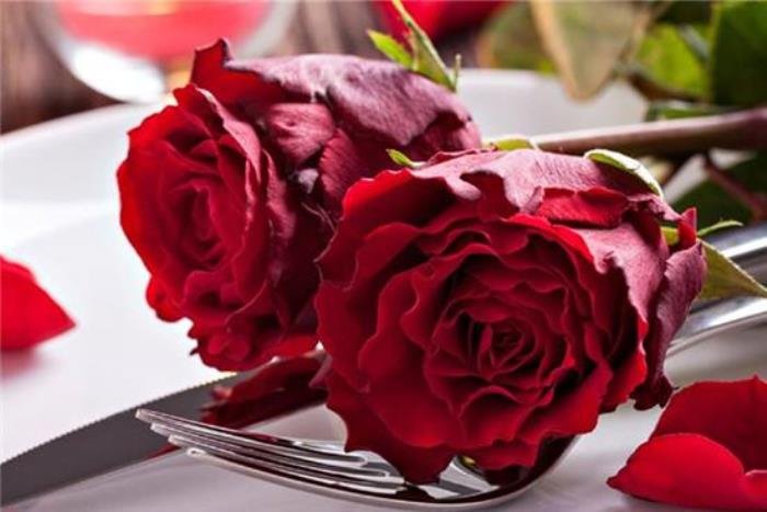 ��Ů��������ʲô�� Ů����һ��ϲ��ʲô����